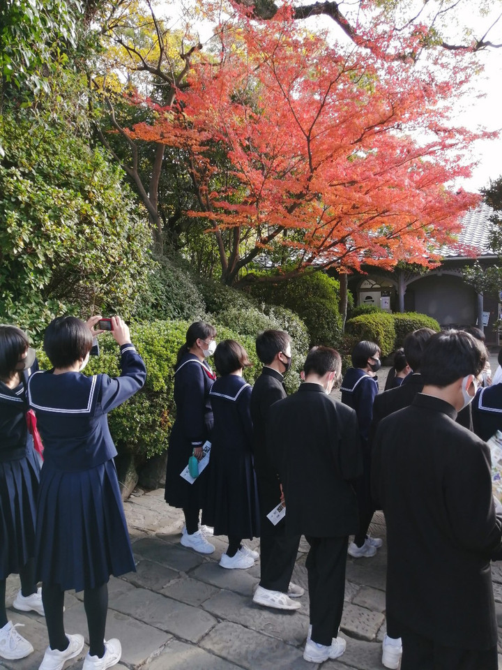 Img_20201210_153307_copy_1056x1408