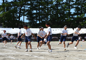 Nz6_8846