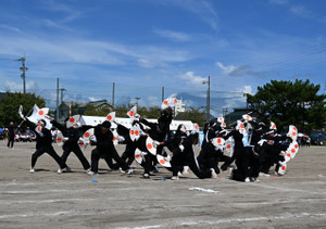 Yz8_1355
