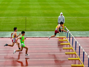 1763606160859 1763606160859