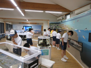 Img_0189 Img_0189