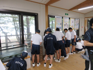 Img_0190 Img_0190