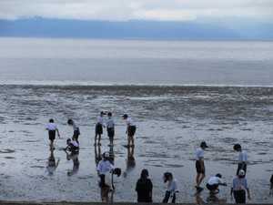 Img_0201 Img_0201