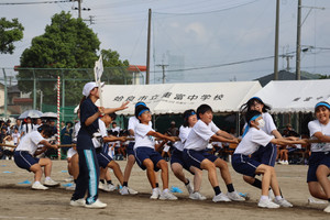 Img_7609 Img_7609